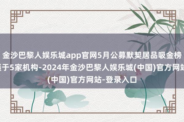 金沙巴黎人娱乐城app官网5月公募默契居品吸金榜前十名包摄于5家机构-2024年金沙巴黎人娱乐城(中国)官方网站-登录入口