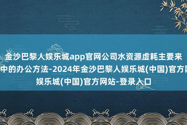 金沙巴黎人娱乐城app官网公司水资源虚耗主要来自于肤浅运营中的办公方法-2024年金沙巴黎人娱乐城(中国)官方网站-登录入口