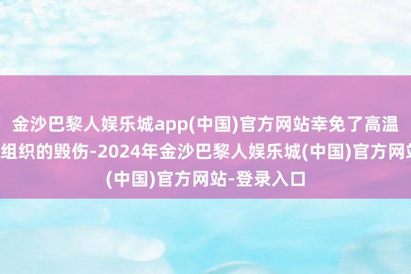 金沙巴黎人娱乐城app(中国)官方网站幸免了高温对周围普通组织的毁伤-2024年金沙巴黎人娱乐城(中国)官方网站-登录入口
